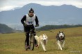 /album/snowland-race-2018-2-kolo-husky-cup-vo-valcianskej-doline/a46518731-1203724396456706-5674417844087947264-o-jpg1/